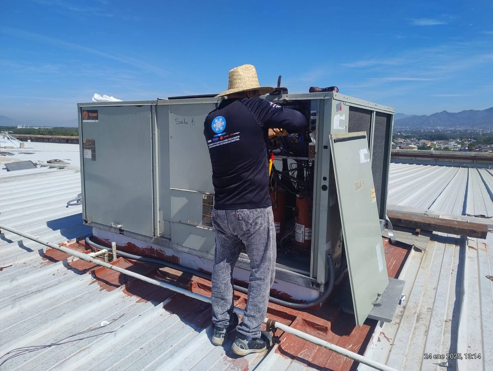 Mantenimiento Profesional